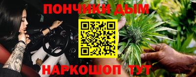 шишки Жуковский