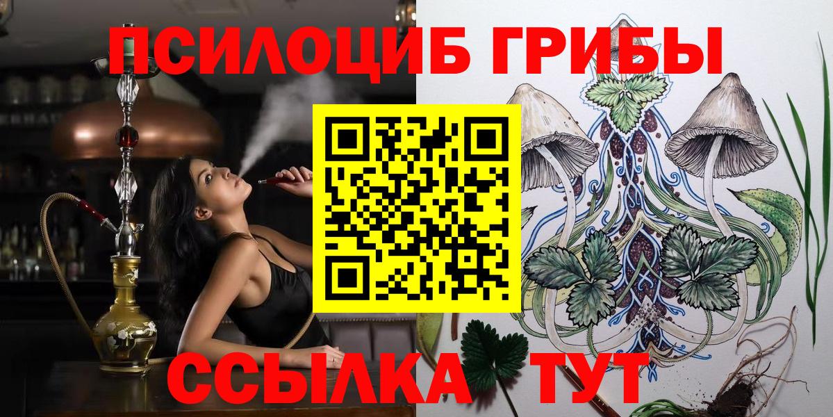 Псилоцибиновые грибы Cubensis Дедовск